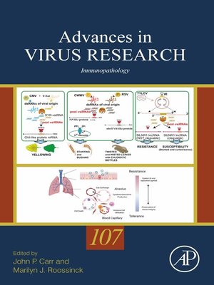 cover image of Immunopathology
